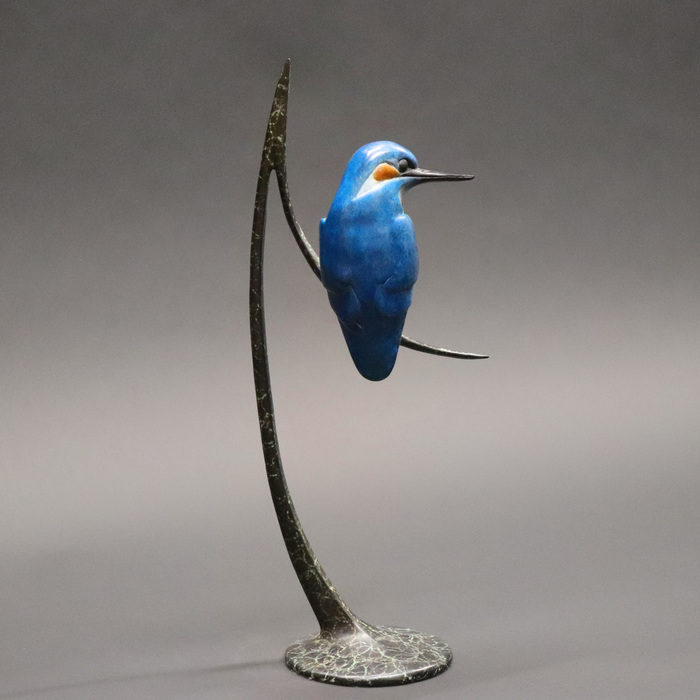 Kingfisher 2